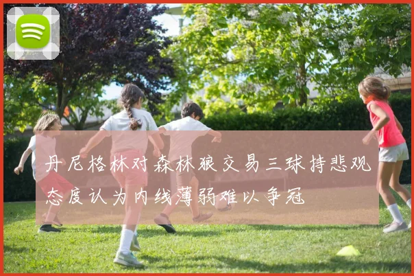 丹尼格林对森林狼交易三球持悲观态度认为内线薄弱难以争冠